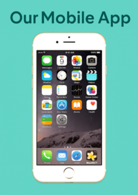 Mobile Friendlier App